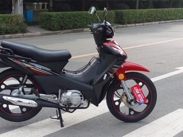 LIFAN LF110-7D